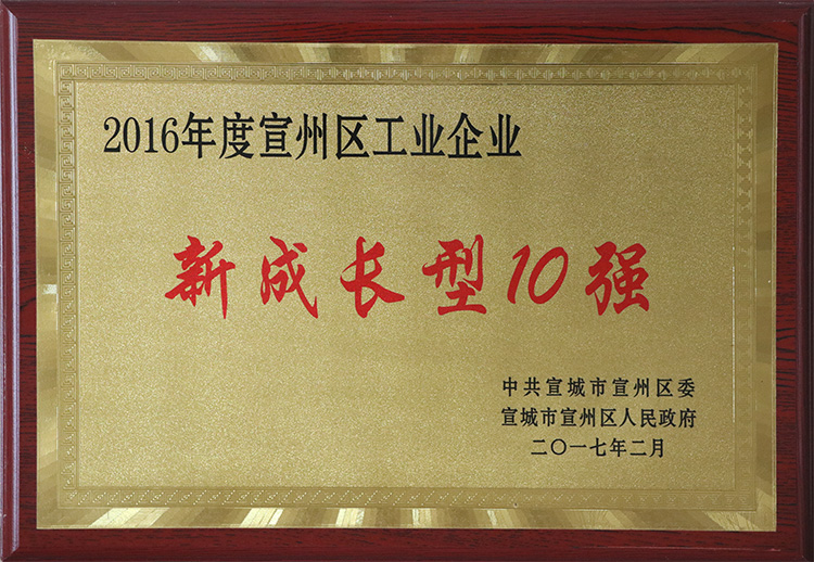 2016年榮獲宣州區(qū)工業(yè)企業(yè)新成長型10強